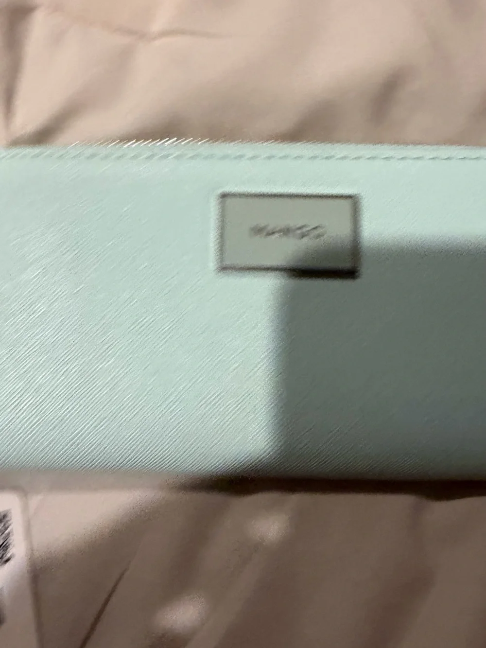 Mango Mint Green Zip-Around Wallet
